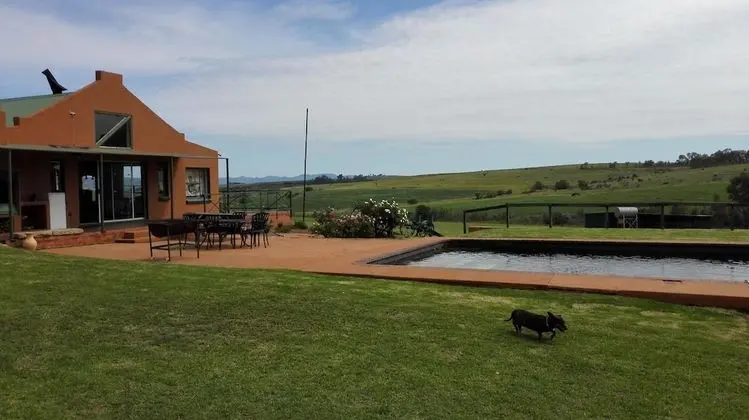 Pumula Guest Farm - Havuz