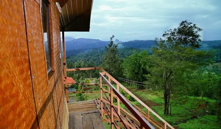 Punarjani Ayurvedic Resorts