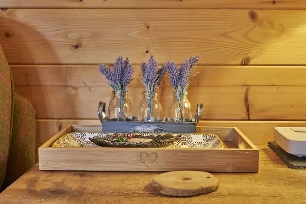 Punch Tree Cabins, Couples, Hot Tub Wood Burning - İç Mekan