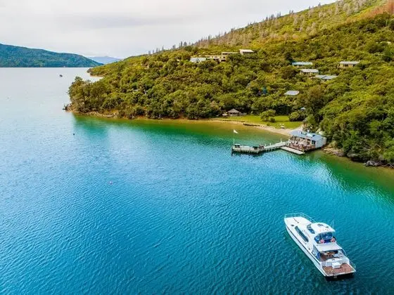 Punga Cove Resort - Dış Mekan