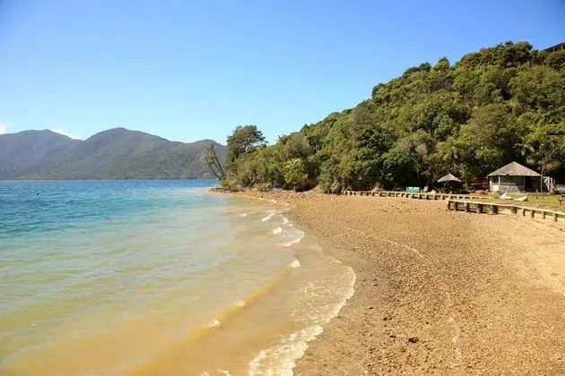 Punga Cove Resort - Plaj