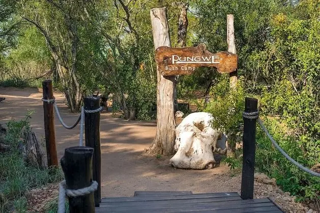 Pungwe Safari Camp - Dış Mekan