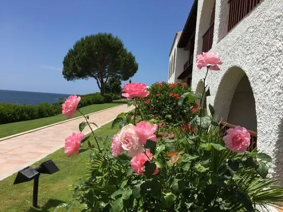 Punta Negra - Lobi