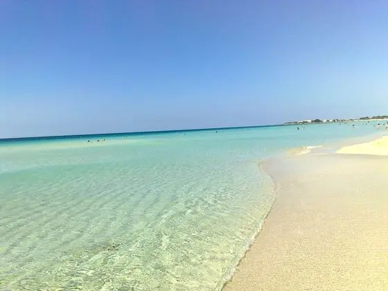 Punta Prosciutto Apartments To Rent is Only 100 Metres From the Beach - Plaj
