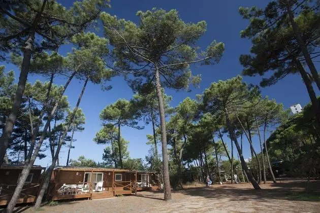 PuntAla Camp & Resort - Dış Mekan