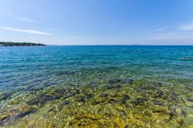 Pupa - Nice Family Apartments - A1 Dora - Plaj