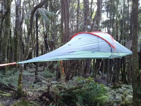 Pupu Rangi Nature Sanctuary - Conservation Area - Öne Çıkan Resim