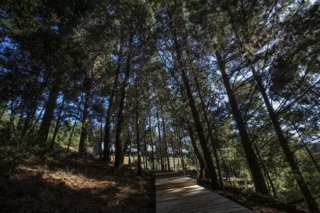 Hotel Pura Lodge - Dış Mekan