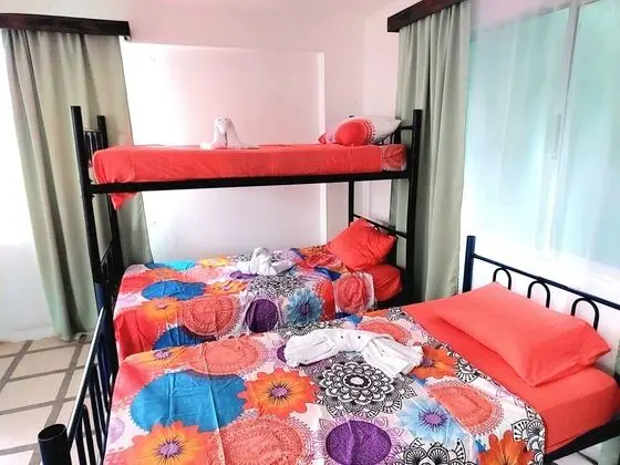 Pura Vida Hostel Manuel Antonio - Oda
