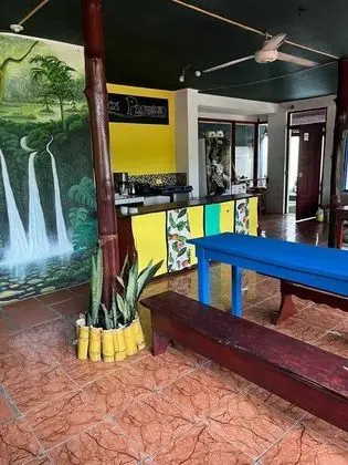 Pura Vida Hostel Manuel Antonio - Oda Düzeni