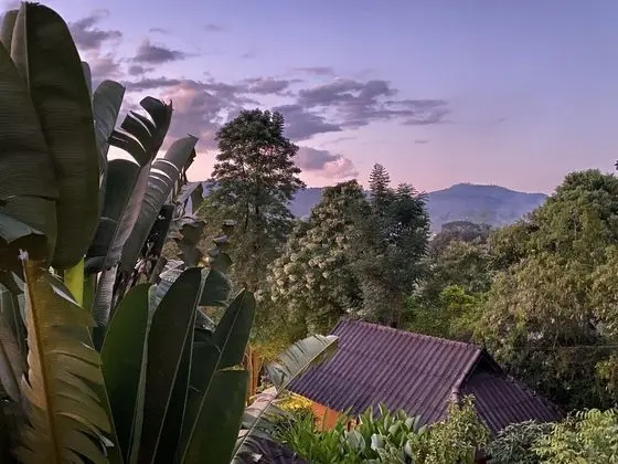 PuraVida Pai Resort