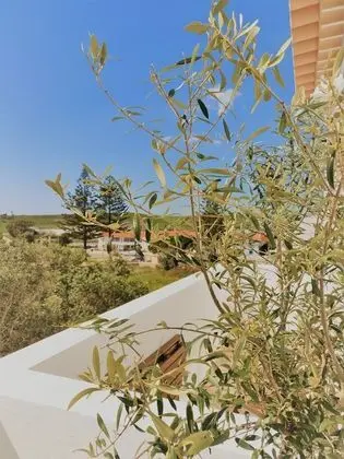 Pure Fonte Velha B&B - Dış Mekan
