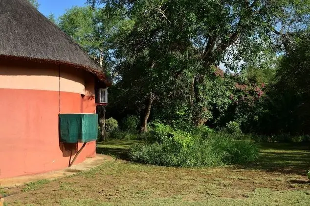 Pure Wilderness in Amanzimlotzi Riverside Bush Camp in Limpopo, Kruger Park - Dış Mekan