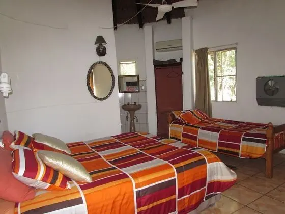 Pure Wilderness in Amanzimlotzi Riverside Bush Camp in Limpopo, Kruger Park - Oda