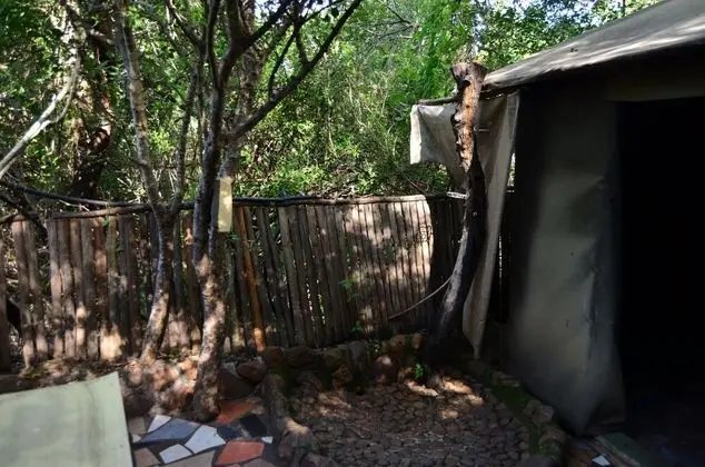 Pure Wilderness in Amanzimlotzi Riverside Bush Tent in Limpopo, Kruger Park - Banyo Özellikleri