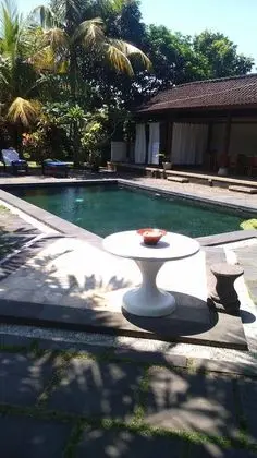 Puri Dalem Cottages - Havuz