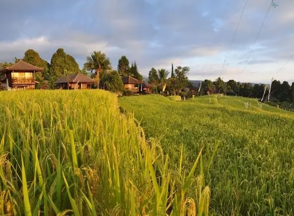 Puri Lumbung Cottages, Restaurant & Spa - Dış Mekan