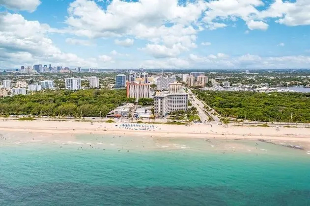 Purple Pelican - U - Dış Mekan