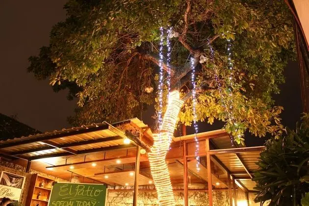 The Purple Tree Bed & Breakfast - Dış Mekan