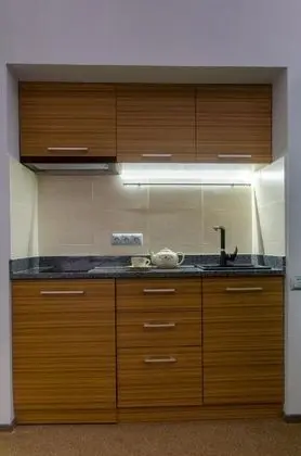 Pushkinskaya Apartments - Mutfak