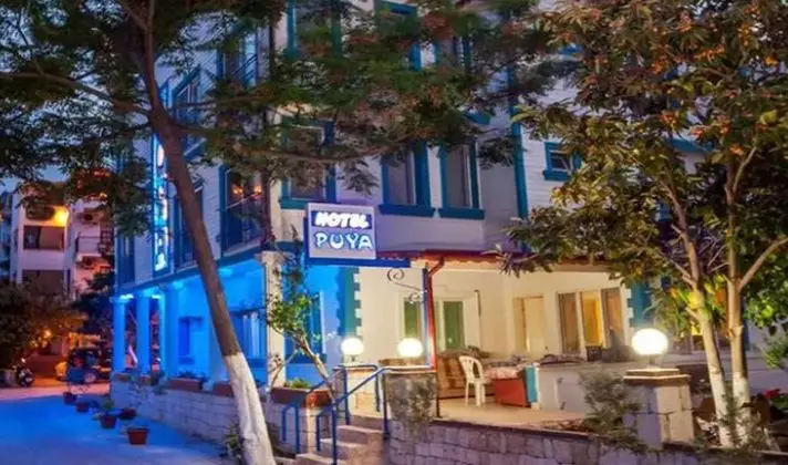 Hotel Puya - Genel