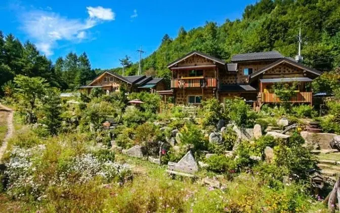 Pyeongchang Dolbaenamu Segeuru Pension