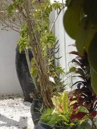 Pyramid Hotel Zanzibar