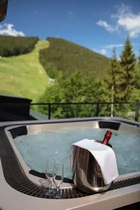 Pytloun Wellness Hotel Harrachov - Havuz