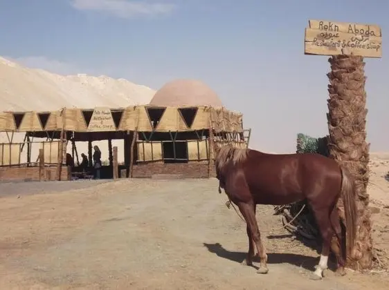 Qasr El Bagawat Eco Lodge Hotel - Dış Mekan