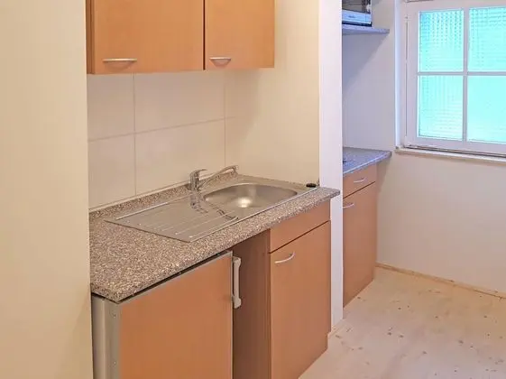 Quaint Apartment in Upper Harz in Wildemann With Views - Mutfak