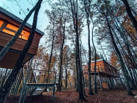 Quaint Chalet in Drenovac Raducki Among Trees - Dış Mekan
