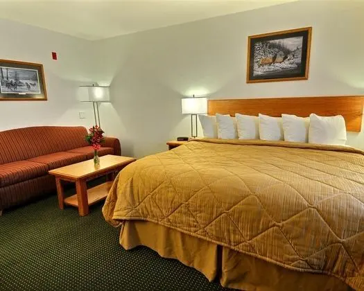 Quality Inn Belgrade