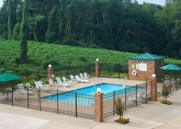 Quality Inn - Havuz