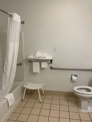 Quality Inn Denver Tech Center - Banyo Tipleri
