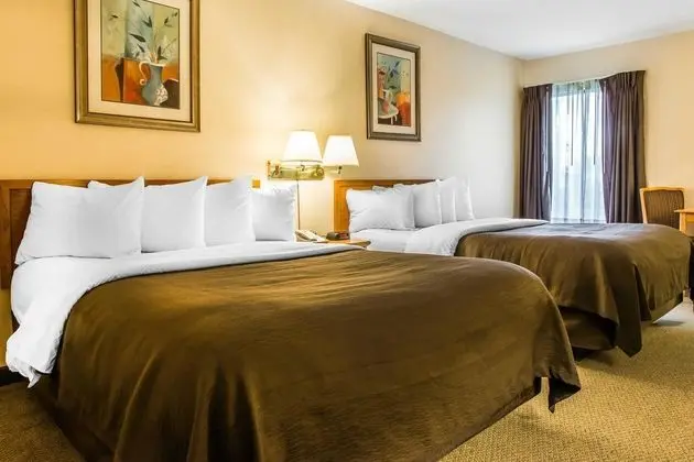 Quality Inn - Genel
