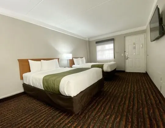 Quality Inn Harlingen - Oda