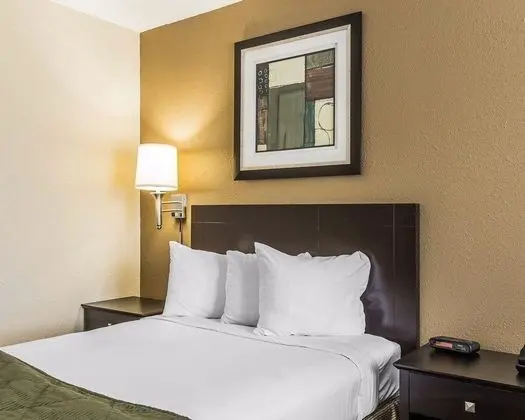 Quality Inn Kingsland - Genel