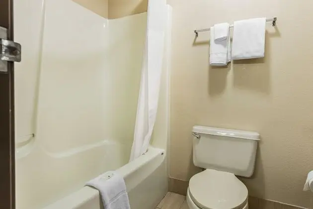 Quality Inn Mount Vernon, IL - Banyo Tipleri