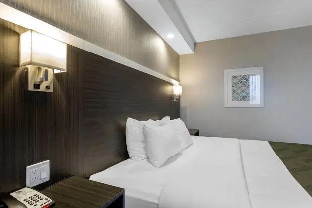Quality Inn Springfield - Oda