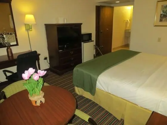 Quality Inn Stone Mountain - Oda