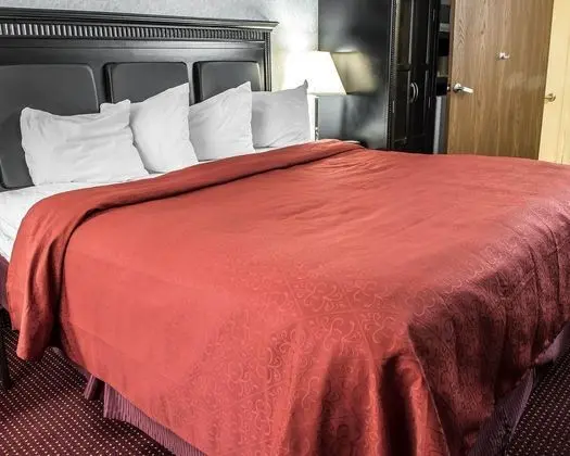 Quality Inn & Suites North Gibsonia - Genel