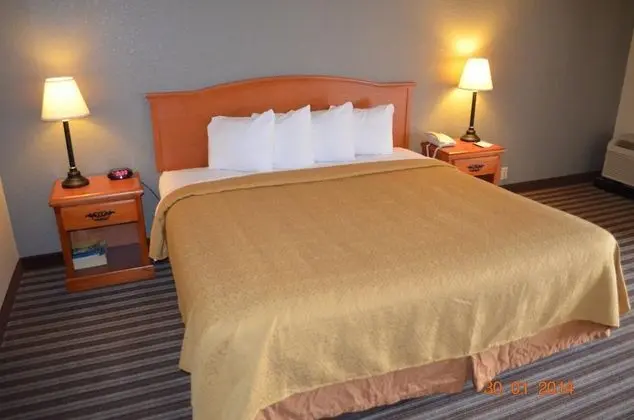 Quality Inn & Suites Reliant Park Medical Center