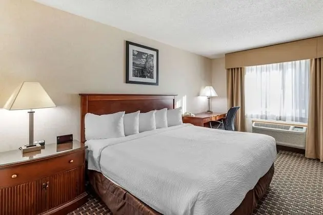 Quality Inn & Suites - Oda