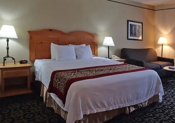 Quality Inn & Suites University