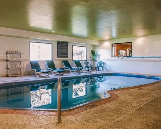 Quality Suites NE Indianapolis Fishers - Havuz