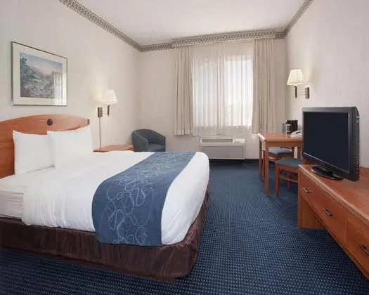 Quality Suites University
