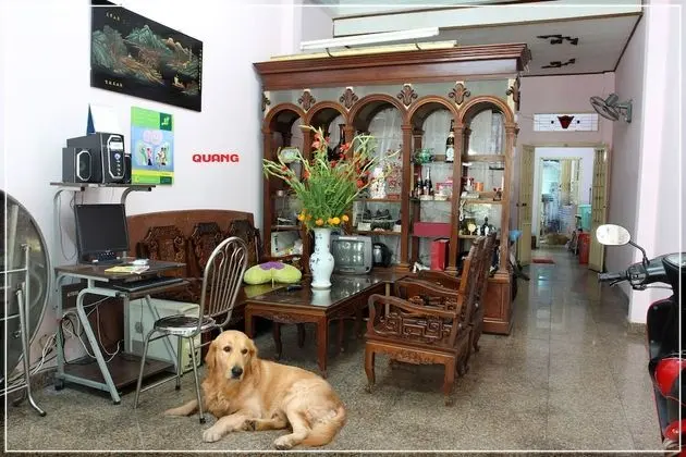 Quang Saigon Hotel - Lobi