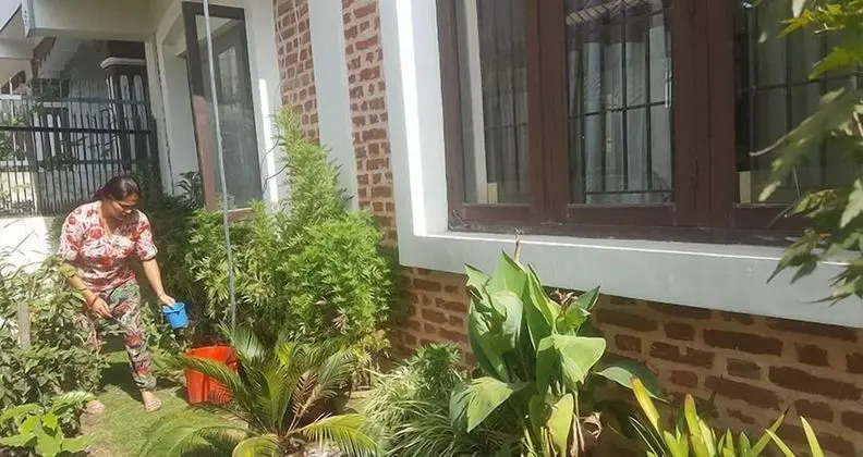 Queen Forest Homestay - Dış Mekan