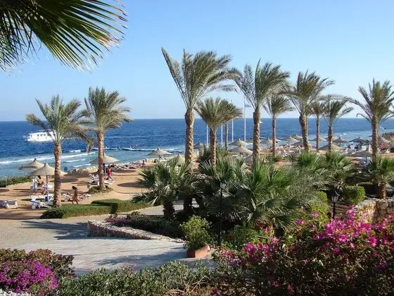 Queen Sharm Resort - Plaj