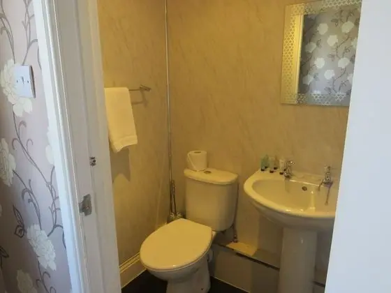 The Queens Arms Hotel - Banyo Tipleri